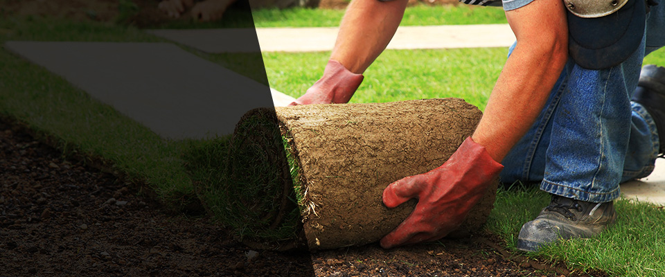 College Grove Landscapers